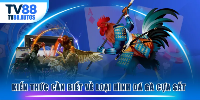 Kiến thức cần biết về loại hình đá gà cựa sắt 