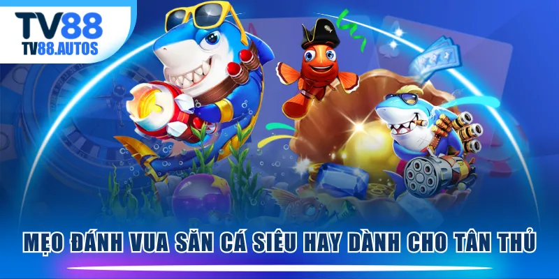 Mẹo đánh Vua Săn Cá siêu hay dành cho tân thủ