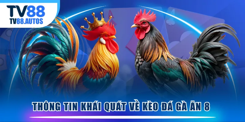 Thông tin khái quát về kèo đá gà ăn 8 